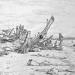 Okinawa1"Downtime"