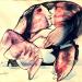 TheKiss1
