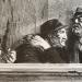 Buddies(detail1)