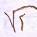 Initials1